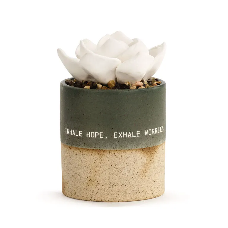 Demdaco Hope Succulent Oil Diffuser 1 Demdaco Hope Succulent Oil Diffuser