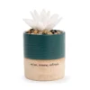 Demdaco Relax Succulent Oil Diffuser