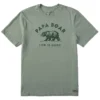 Life Is Good Papa Bear Sage Green Men's T-Shirt, X-Large