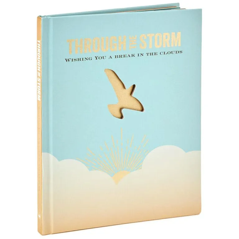 Hallmark Through The Storm: Wishing You A Break In The Clouds Book 1 Hallmark Through The Storm: Wishing You A Break In The Clouds Book
