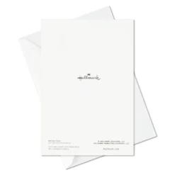 Hallmark Big Celebrations Assorted Cards, Box Of 12 -Hallmark Shop Big Celebrations Assorted Cards Bulk Pack 5EDX1073 06