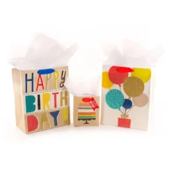 Hallmark Bold Birthday 3-Pack Assorted Gift Bags With Tissue