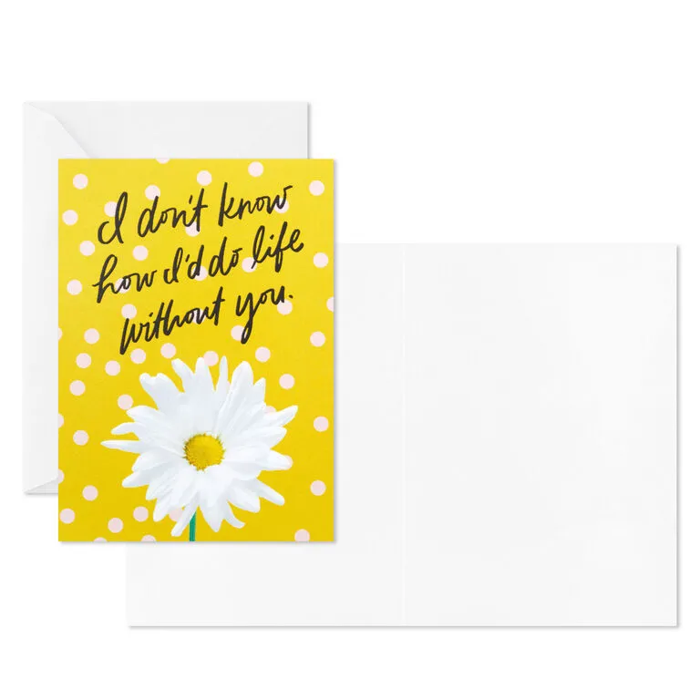 Hallmark Colorful Daisies Boxed Thank-You Notes, Pack Of 50 4 Hallmark Colorful Daisies Boxed Thank-You Notes, Pack Of 50 - Image 4