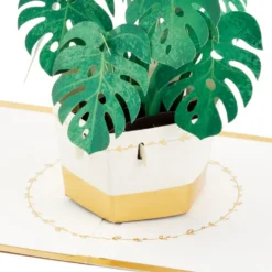 Hallmark Plant In Pot 3D Pop-Up Thinking Of You Card -Hallmark Shop Plant in Pot 3D PopUp Thinking of You Card 1299LAD2900 03