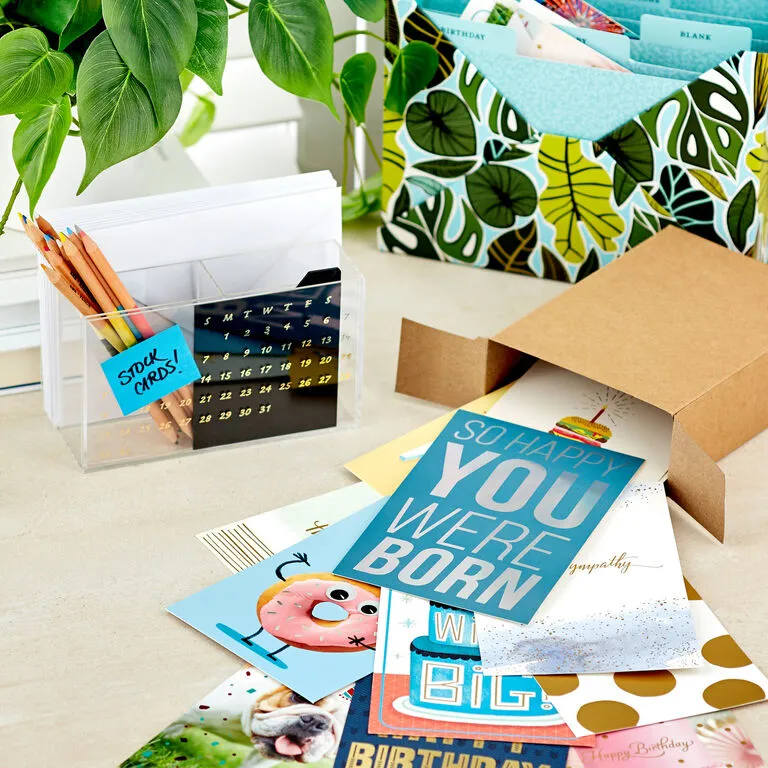 Hallmark Warm Wishes Assorted All-Occasion Cards, Box Of 48 7 Hallmark Warm Wishes Assorted All-Occasion Cards, Box Of 48 - Image 7